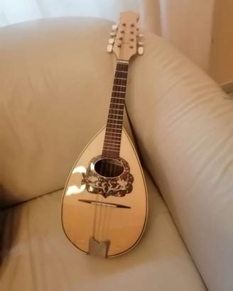 mandolino mady in Italy  e custodia  antiurto