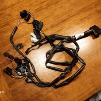 cablaggio Rapid Bike EVO x Ducati Scrambler 800 