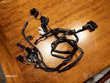 cablaggio Rapid Bike EVO x Ducati Scrambler 800 