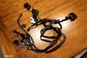 cablaggio Rapid Bike EVO x Ducati Scrambler 800 