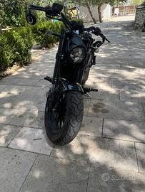 BENDA CHINCHILLA 500 soli 550 km