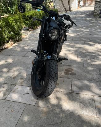 BENDA CHINCHILLA 500 soli 550 km