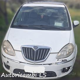 Lancia musa 2010 ricambi