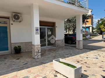 NEGOZIO A VENAFRO