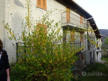 Casa semindipendente a Borlasca Borgo