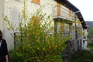 Casa semindipendente a Borlasca Borgo