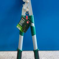 Tagliarmi Telescopico Park side