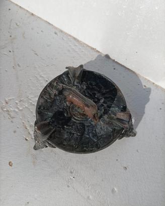 portacenere anni '70