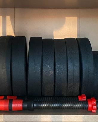 2 Manubri da 20 kg