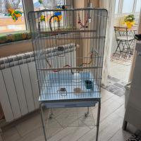 Gabbia per pappagalli con accessori