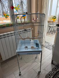 Gabbia per pappagalli con accessori