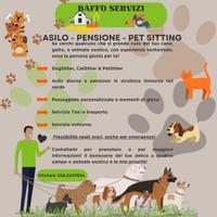 Asilo Pensione Cani Gatti - Dog Sitter Pet Sitter