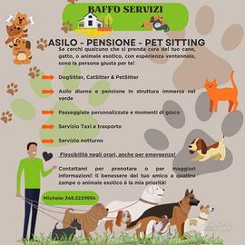Asilo Pensione Cani Gatti - Dog Sitter Pet Sitter