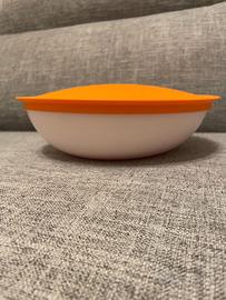 CIOTOLA ALLEGRA tupperware