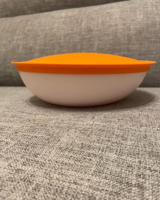 CIOTOLA ALLEGRA tupperware