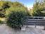 Immagine 21