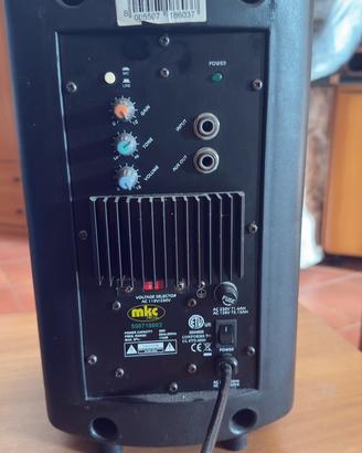 Cassa amplificata