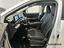 Immagine 15