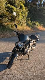 Honda hornet 600