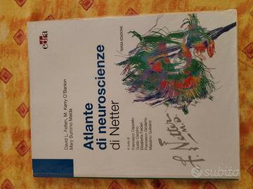 Netter atlante di Nauroscienze 