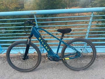 BICI ELETTRICA