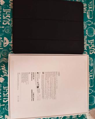 Ipad PRO M5 13" WiFi + Cellular 256gb
