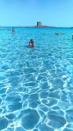 Bilocali vacanze Stintino