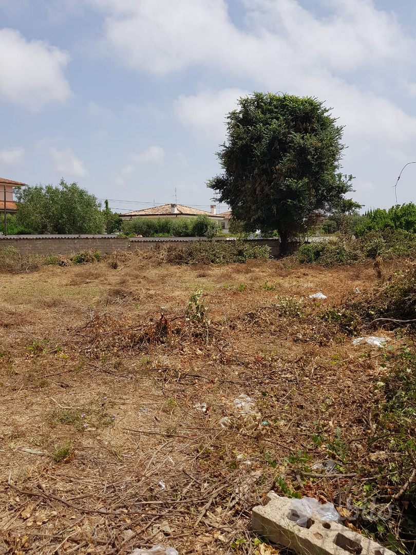 Anzio - terreno edificabile - Vista 4