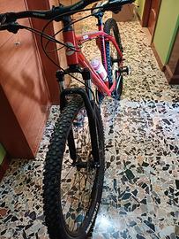 Mtb Lombardo