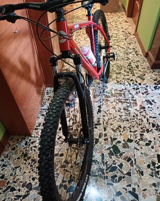 Mtb Lombardo