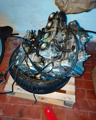 Ricambi Honda Hornet 600 2005/2006