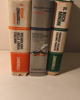 3dizionari italiano, inglese francese 