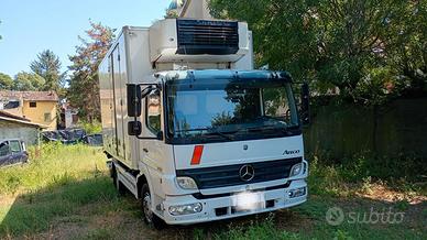 Mercedes Benz