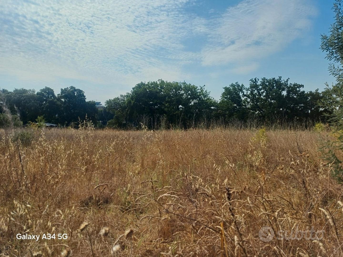 Agricolo - Vista 4