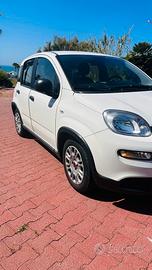 Fiat panda hybrid