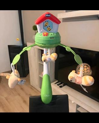 giostra chicco