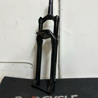 Forcella Dt Swiss  F232 One 29" 100mm
