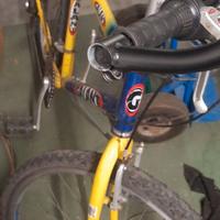 Bici mtb 26
