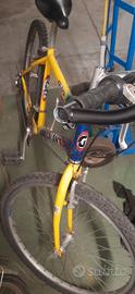 Bici mtb 26