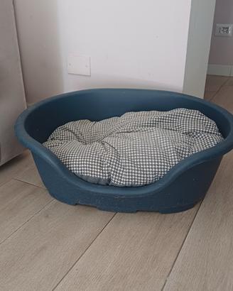 cuccia cane