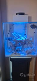 askoll fluvial edge 46
