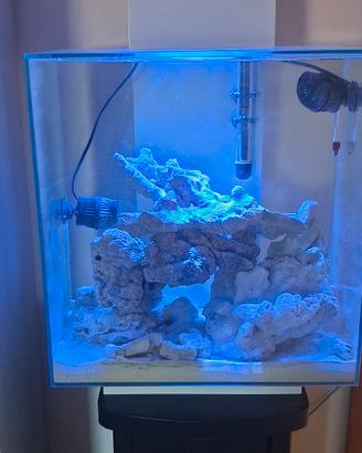 askoll fluvial edge 46