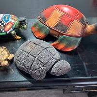 Tartarughe collezione