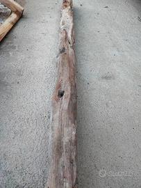 tronco ginepro valuto proposte
