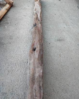 tronco ginepro valuto proposte