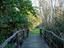 Immagine 24