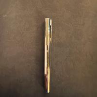 Penna stilografica  waterman