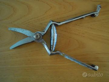 Masticatore per alimenti