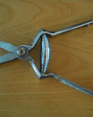 Masticatore per alimenti