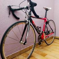 bici frw carbonio 